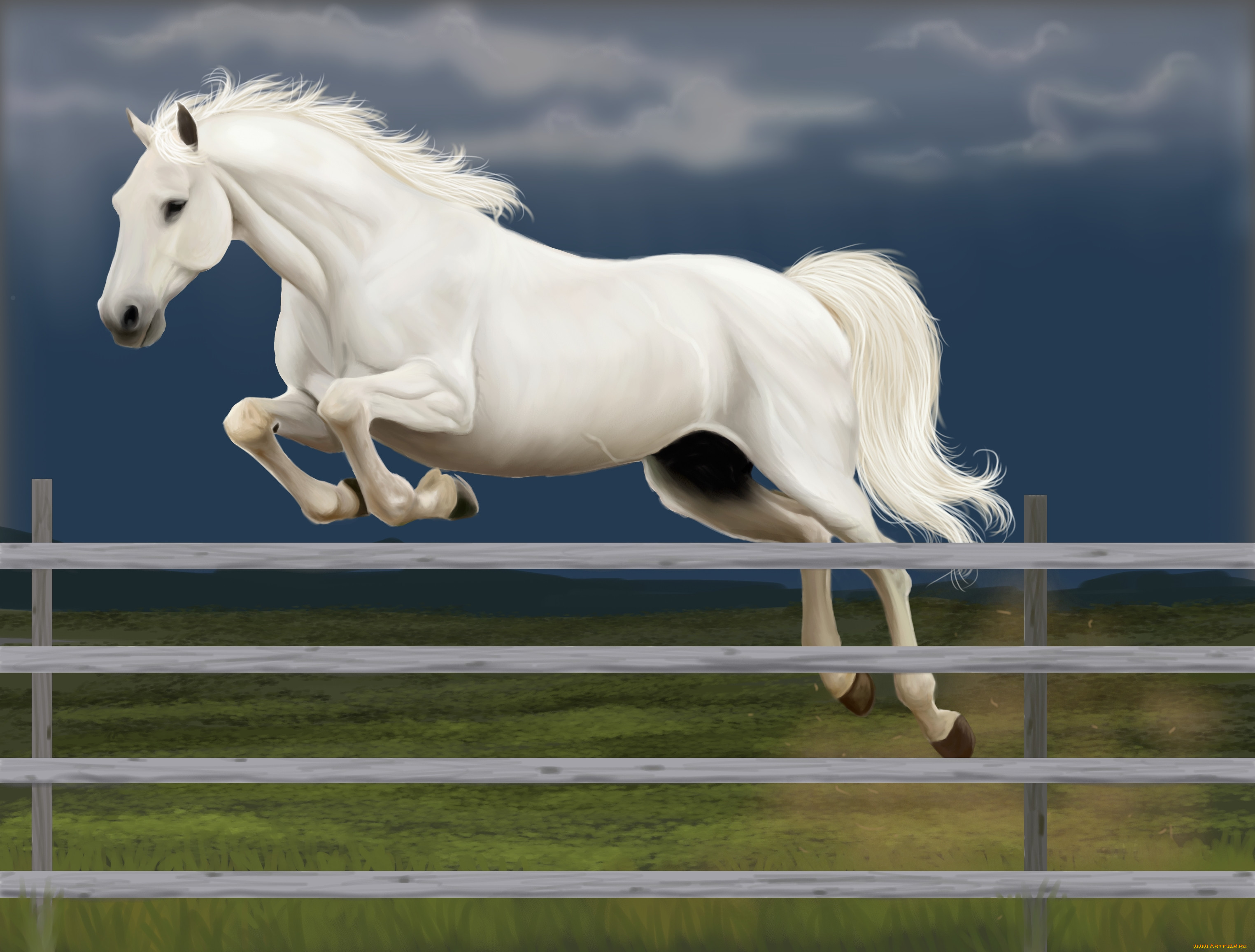 Сайт horse. Лошади. Лошадь скачет. Белый конь. Лошадь в прыжке.